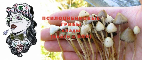 гидра Верхнеуральск