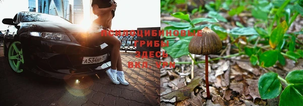 гидра Верхнеуральск